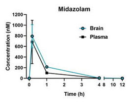 Midazolam PK for brain and plasma